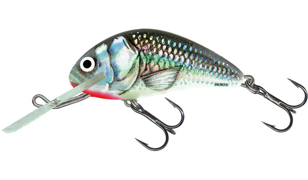 Salmo Hornet 4cm Holographic Grey Shiner - Floating