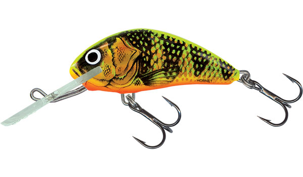 Salmo Hornet 5cm Gold Fluro Perch - Floating