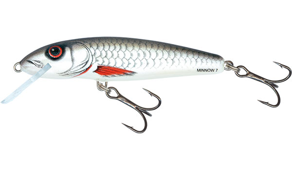 Salmo Minnow 5cm Dace - Floating