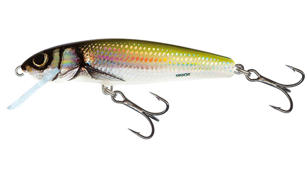 Salmo Minnow 5cm Holo Bleak