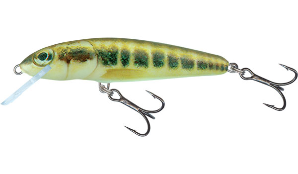 Salmo Minnow 5cm Minnow - Floating