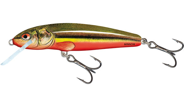 Salmo Minnow 5cm Rainbow Dace - Floating