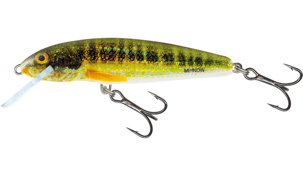 Salmo Minnow 5cm Holo Real Minnow - Floating