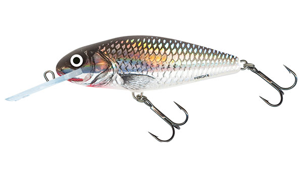 Salmo Perch 8cm Holo Grey Shiner - Deep Runner Floating