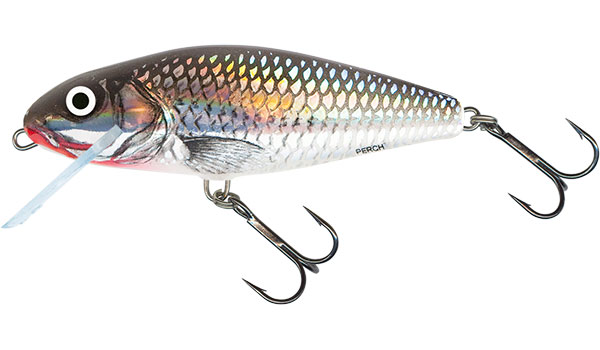 Salmo Perch 8cm Holo Grey Shiner - Floating