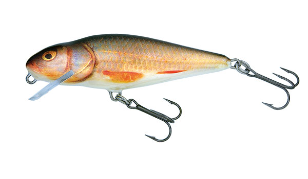 PERCH SHALLOW RUNNER - 12cm Real Roach