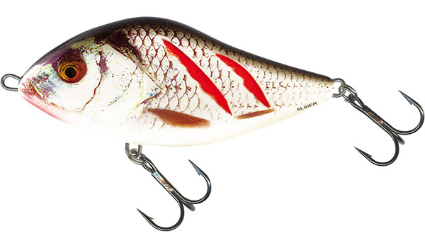 Salmo Slider 5cm Wounded Real Grey Shiner - Sinking