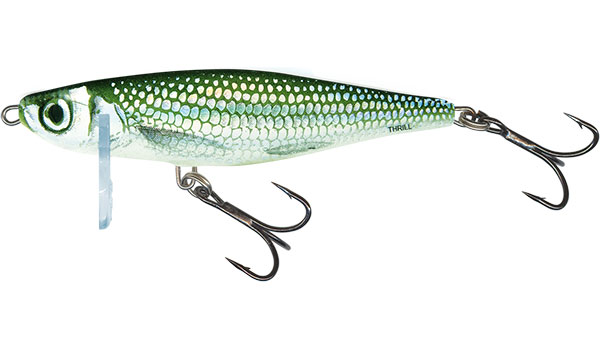 Salmo Thrill 5cm Holo Bleak - Sinking