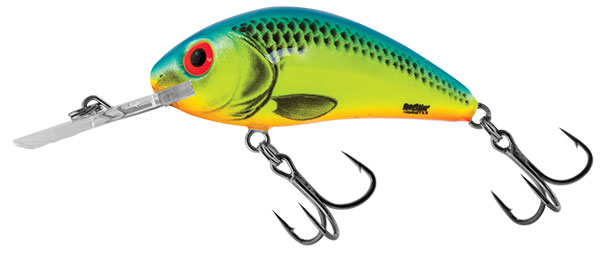 Rattlin Hornet 6.5 Floating Chartreuse Blue