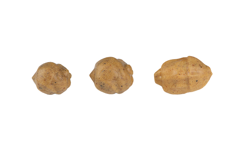 cac930_fox_tiger_nuts_group_1jpg