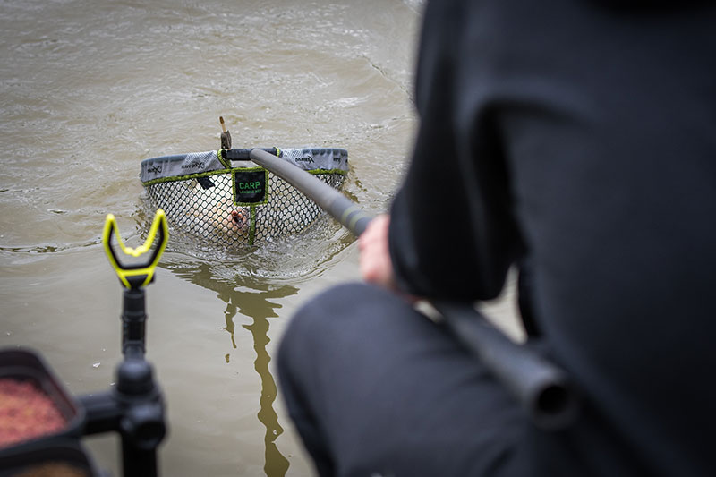 carp-landing-nets-16jpg