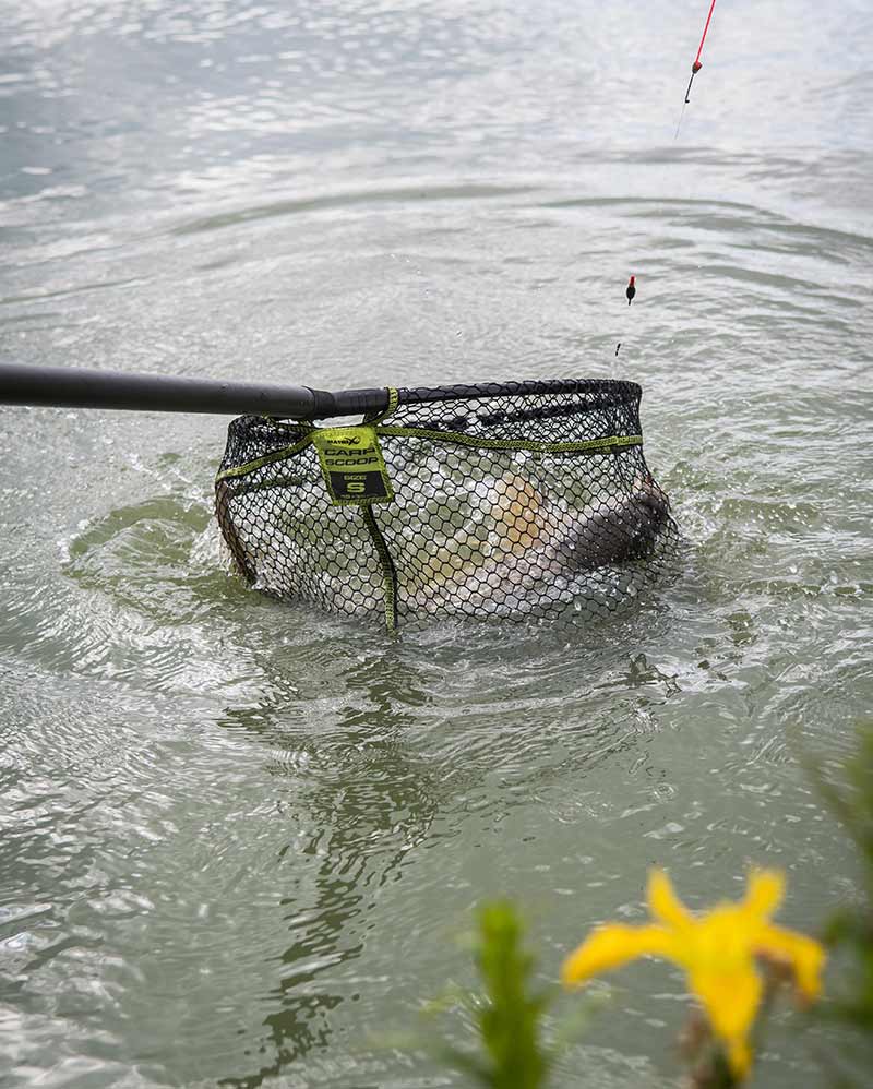 carp-scoop-landing-nets-5-copyjpg