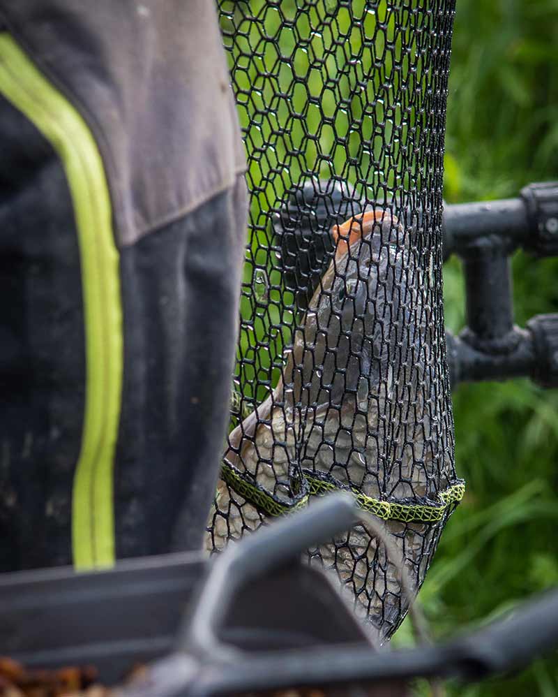 carp-scoop-landing-nets-20-copyjpg