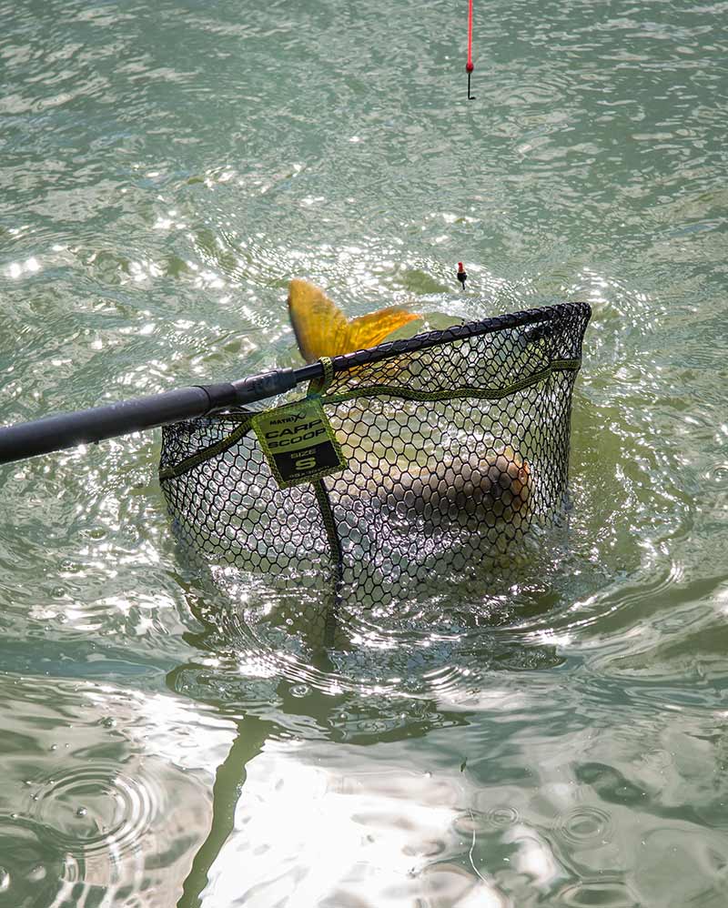 carp-scoop-landing-nets-30-copyjpg