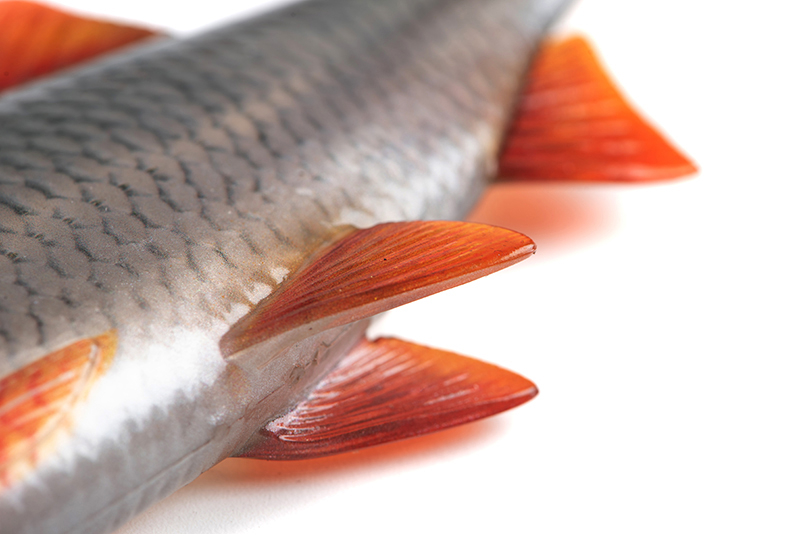 nre632-633_rage_ultra_natural_roach_detail_2jpg