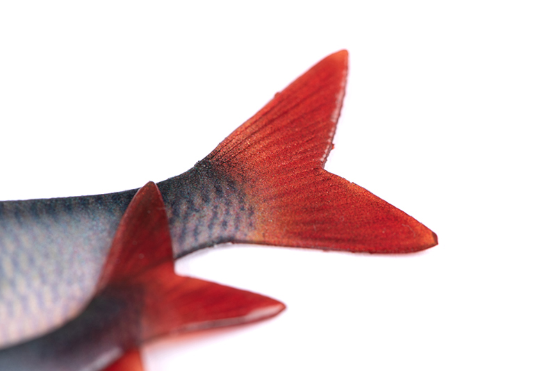 nmc069-070_rage_ultra_natural_roach_fillets_detail_2jpg