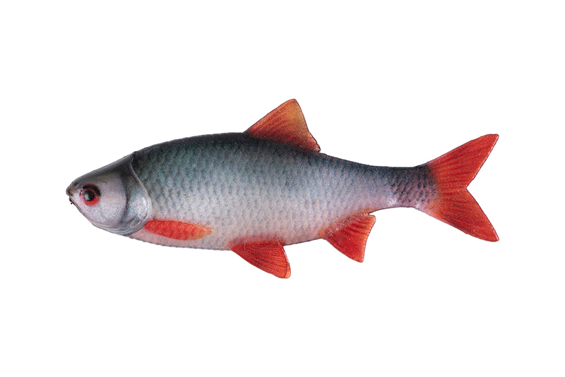 nmc069-070_rage_ultra_natural_roach_fillets_main_2jpg