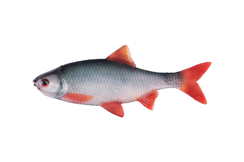 nmc069-070_rage_ultra_natural_roach_fillets_mainjpg