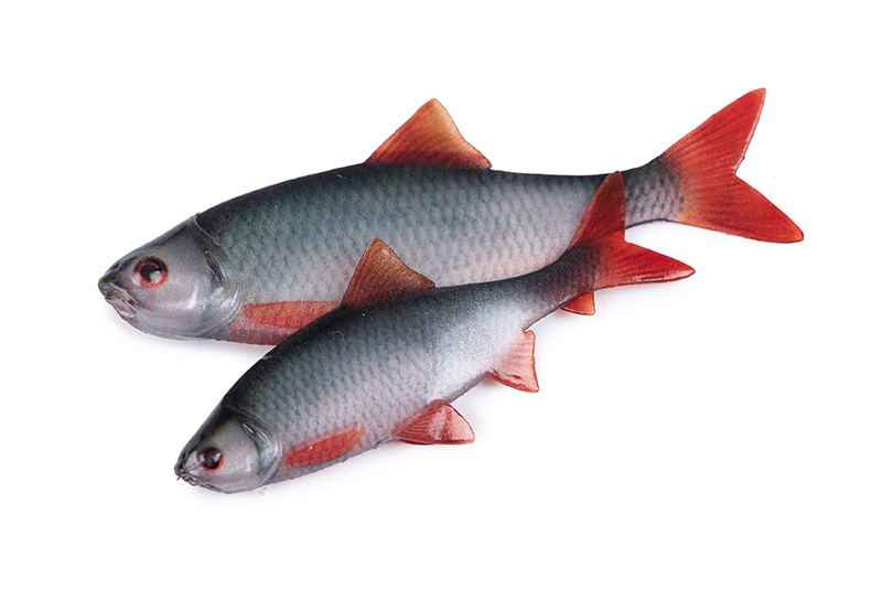 nmc069-070_rage_ultra_natural_roach_fillets_pairjpg