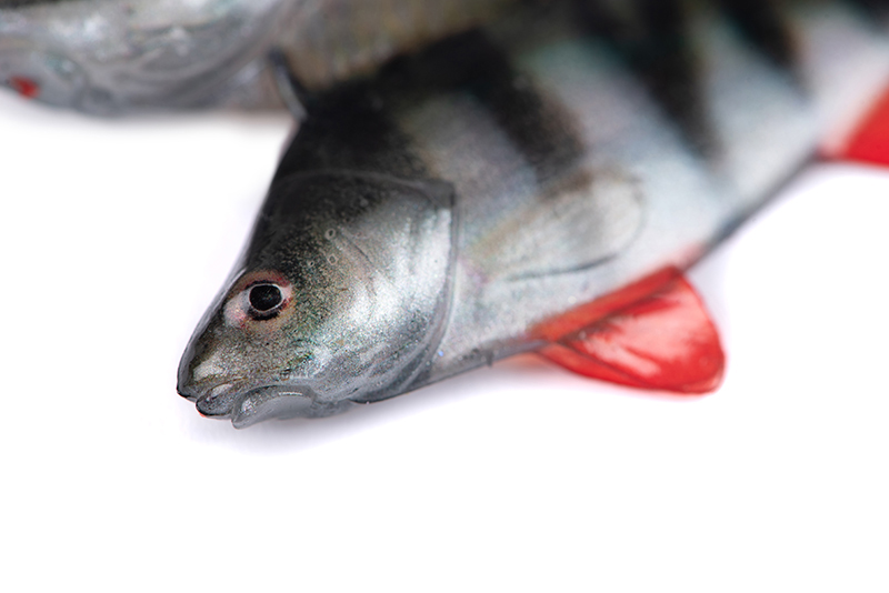 nmc071-072_rage_ultra_natural_perch_fillets_detail_1jpg
