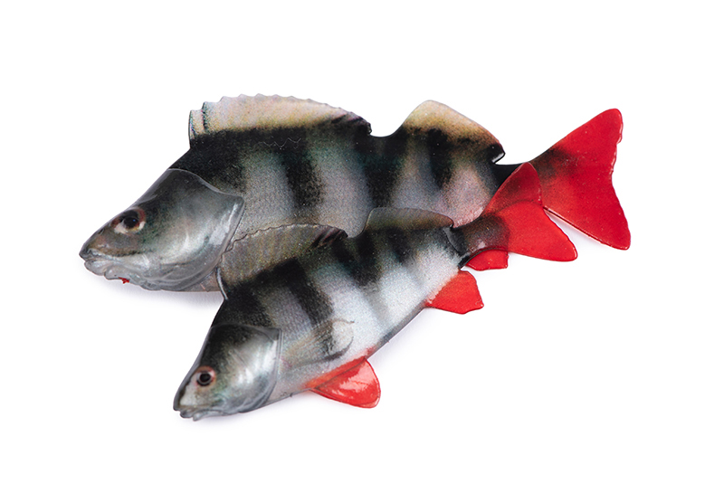 nmc071-072_rage_ultra_natural_perch_fillets_pairjpg