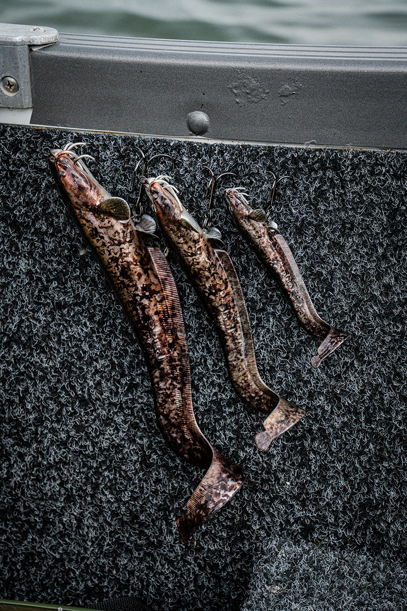 rage-ultra-natural-catfish-replicant_mainjpg