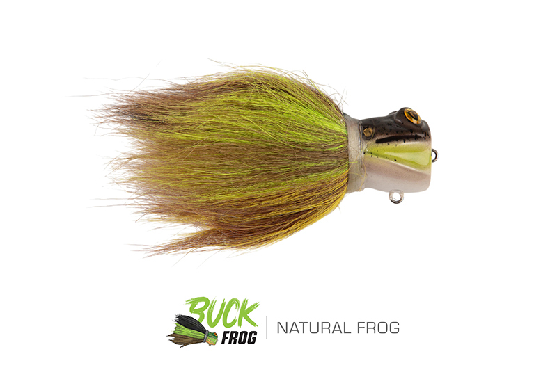 nhl497-498_buckfrog-001_mainjpg