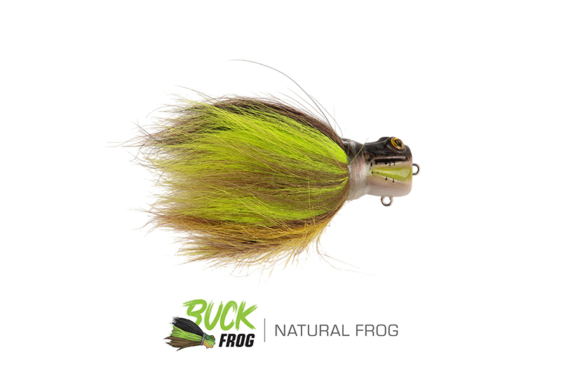 nhl497-498_buckfrog-022_studiojpg