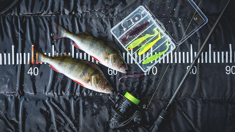 ncm002_warriorstdropshotcombo-02_lifestylejpg