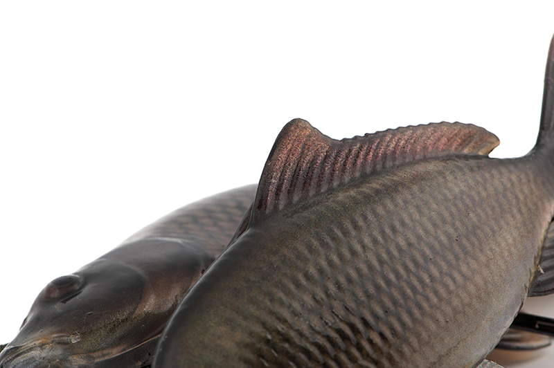 nre626-628_ultrarealisticcommoncarpreplicant1-020_studiojpg