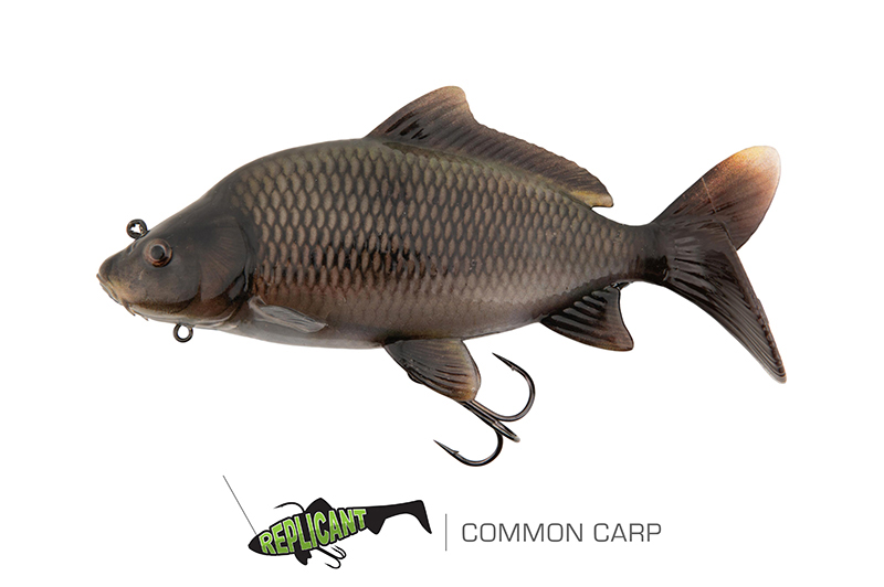 nre626-628_ultrarealisticcommoncarpreplicant1-001_mainjpg