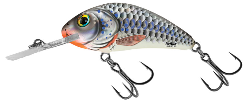 Salmo Rattlin' Hornet 5.5cm Silver Holographic Shad - Floating