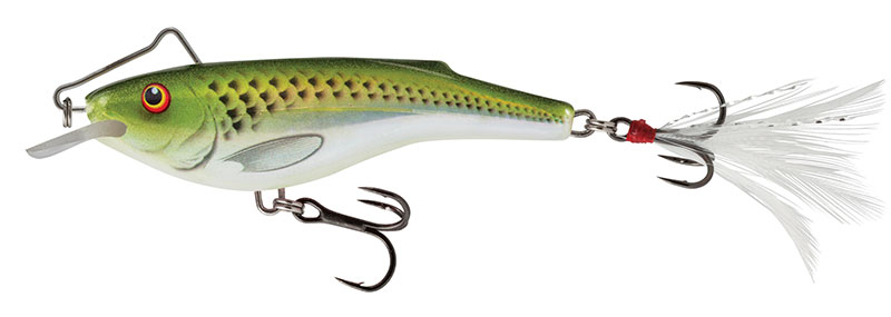 Salmo Rail Shad 6cm Holographic Green Shiner