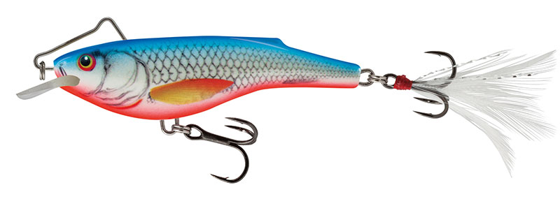 Salmo Rail Shad 6cm Dace Blue