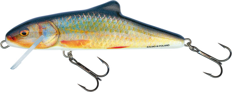 SKINNER FLOATING - 20cm Real Roach