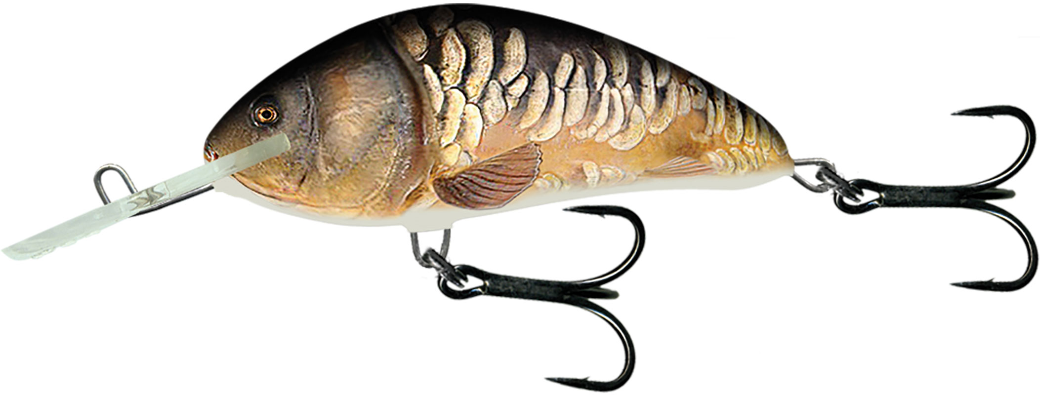 Salmo Hornet 9cm Mirror Carp - Floating