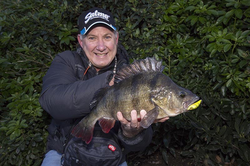 4lb 2oz perch