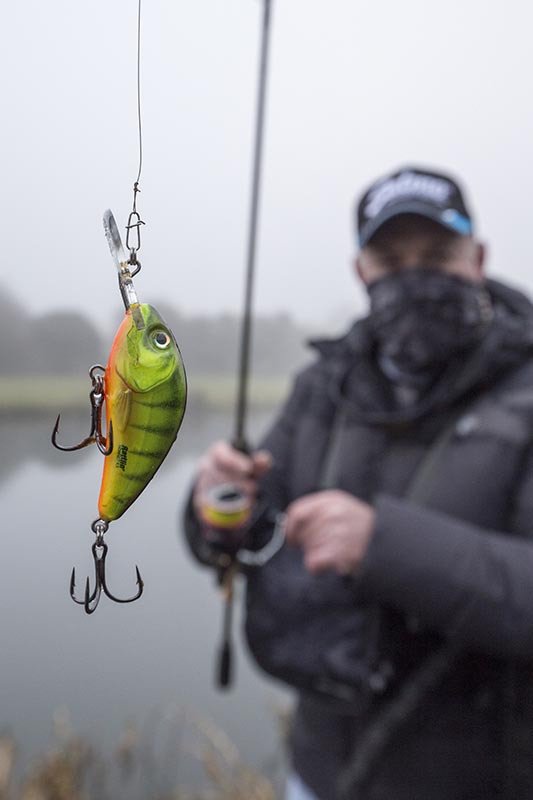 A Salmo Rattlin’ Hornet 4.5cm in Hot Perch