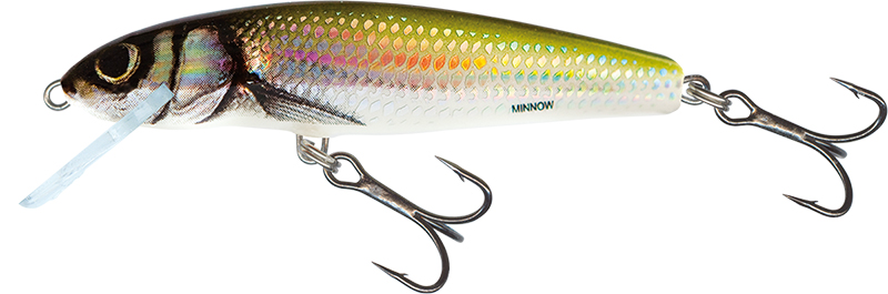 Salmo Minnow 6cm Holo Bleak - Floating