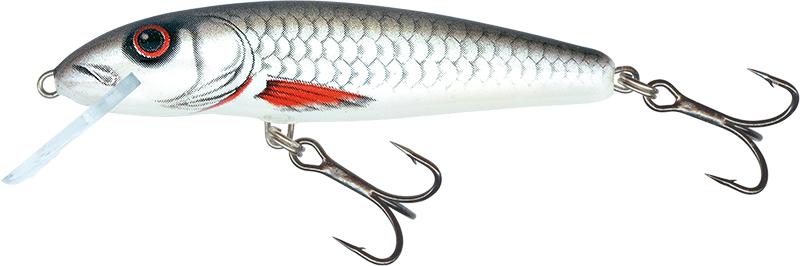 Salmo Minnow 6cm Dace - Sinking