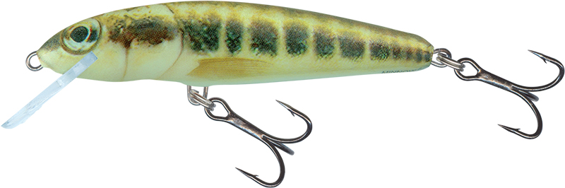 Salmo Minnow 6cm Minnow - Sinking