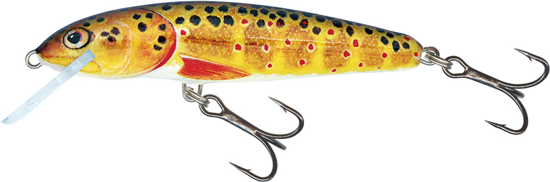 Salmo Minnow 6cm Trout - Sinking