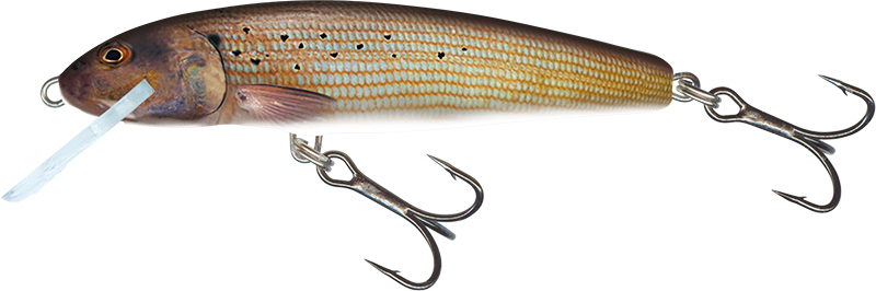 Salmo Minnow 6cm Grayling - Floating