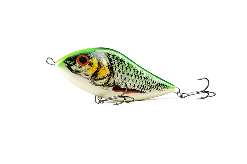 Limited Edition Slider 16cm Colours SLIDER� 16CM Spotted Silver Roach