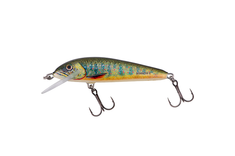 Salmo Minnow 6cm Lake Charr - Floating