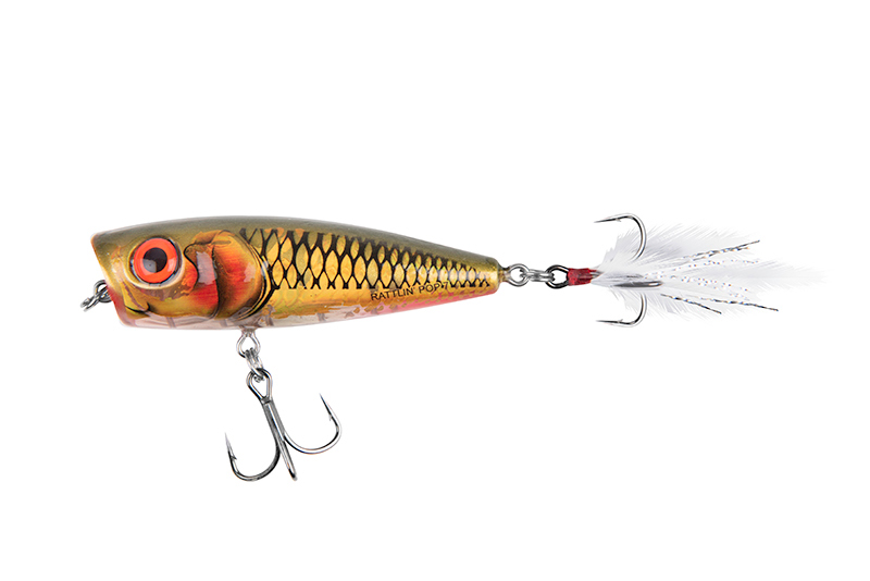 Salmo Rattlin’ Pop 7cm Clear Golden Prey