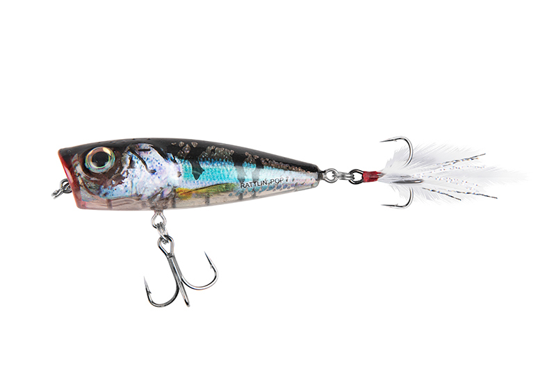 Salmo Rattlin’ Pop 7cm Clear Holo Smelt