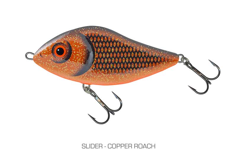 qsd492_slider-5cm_sinking_copper_roachjpg