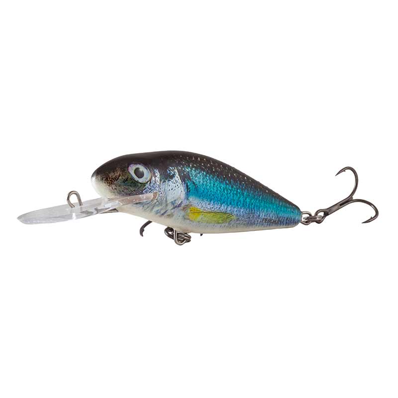 perch_hls_holo-smelt_anglejpg