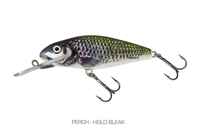 qph144_perch_sdr_holo_bleakjpg